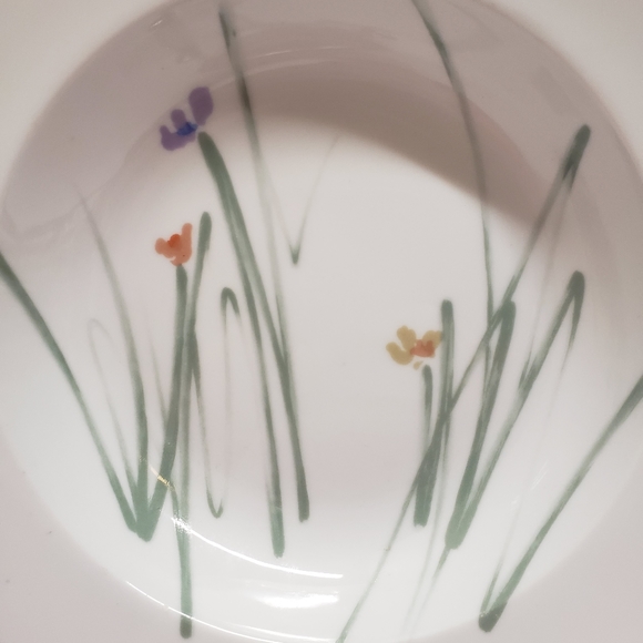 2 Unique Mikasa Sketch Book by Bob Van Allen 9" Bowls Flower Sketch - Picture 5 of 14